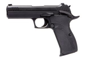 sig sauer p21 carry