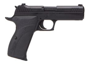 sig handgun