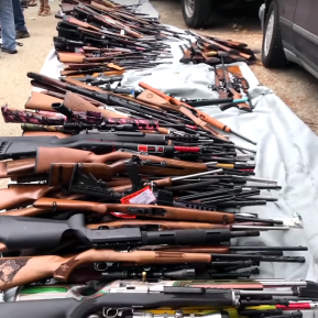 gun confiscation