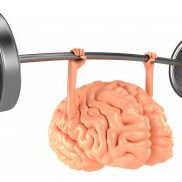 Brain lifting barbell. Mind power concept.