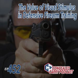 EP452 visual stimulus