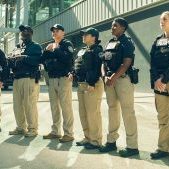 Federal air marshal service