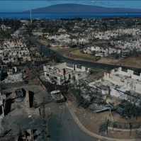 destroyed homes in hawaii