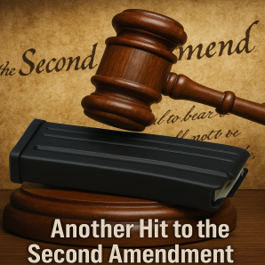 Magazine Capacity Ban Court Ruling