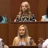 Neighbors who saw or heard the Zimmerman / Martin Attack and testified in court