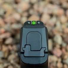 P365 XRAY3 Day/Night Sights