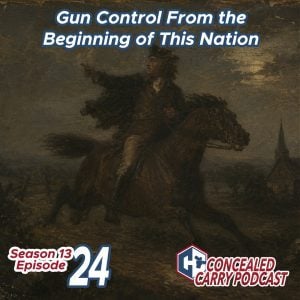 S13E24 Gun Control America