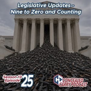 S13E25 Leg Updates nine to zero
