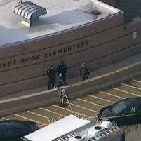 Sandy Hook Gun Lawsuit
