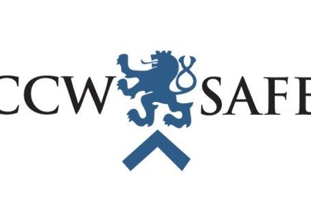 ccw safe discount