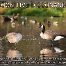 cognitive dissonance