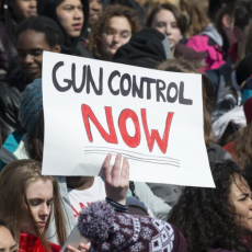 gun control laws are bad