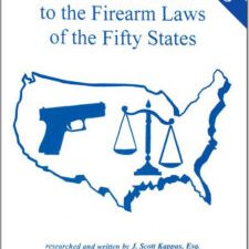 gun laws usa book
