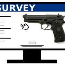 gun survey