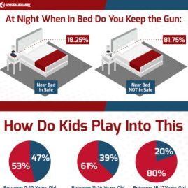 nighstand-gun-survey