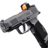 sig sauer p365