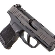 Sig sauer concealed carry handgun