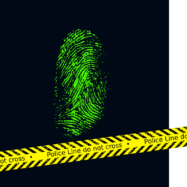 real life gun self defense stories