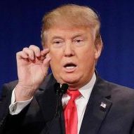 the-new-yorker-who-is-donald-trump